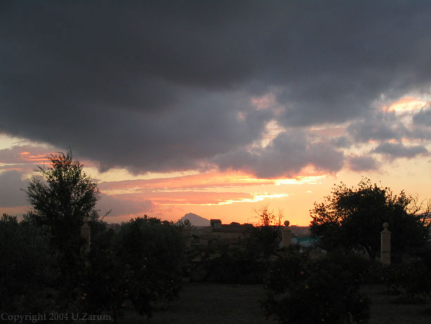 Photography by ZARUM-Artist Zarum his art music album and more-art-artists-paintings-artworks-songs-sculptures-photos-canadian-netherlands-spain