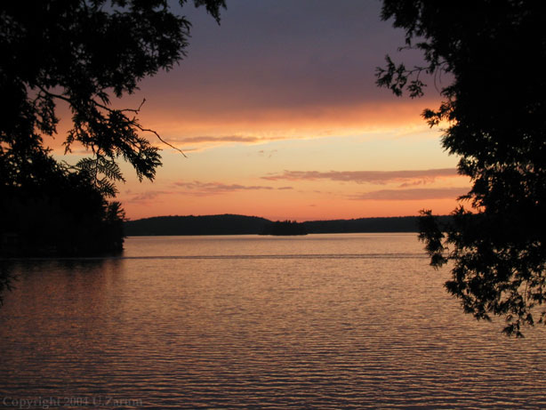 Photography by ZARUM-Artist Zarum his art music album and more-art-artists-paintings-artworks-songs-sculptures-photos-canadian-netherlands-spain