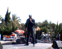 ZARUM Painting by ZARUM-Artist Zarum his art music album and more-art-artists-paintings-artworks-songs-sculptures-photos-canadian-netherlands-spain