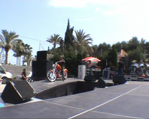 ZARUM Painting by ZARUM-Artist Zarum his art music album and more-art-artists-paintings-artworks-songs-sculptures-photos-canadian-netherlands-spain